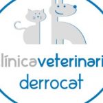 el-derrocat-veterinariapetrer-1-372x240